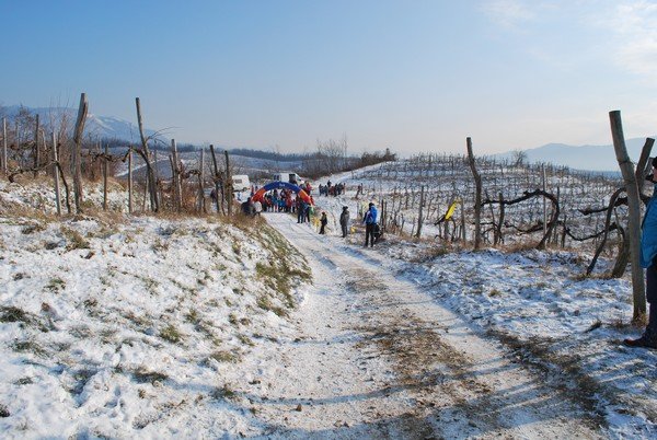 23 Kros Vrtojbensko Biljenski gri 269 i